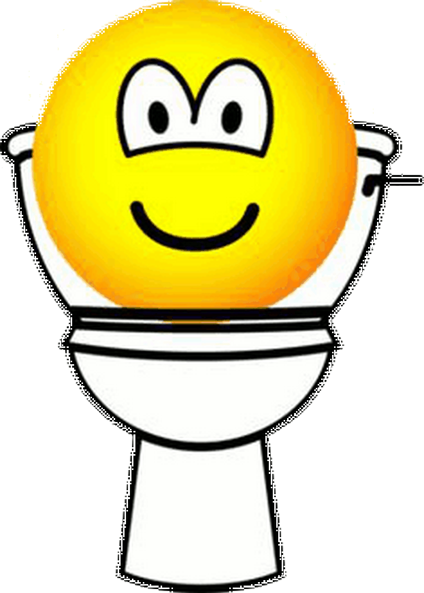 toilet2