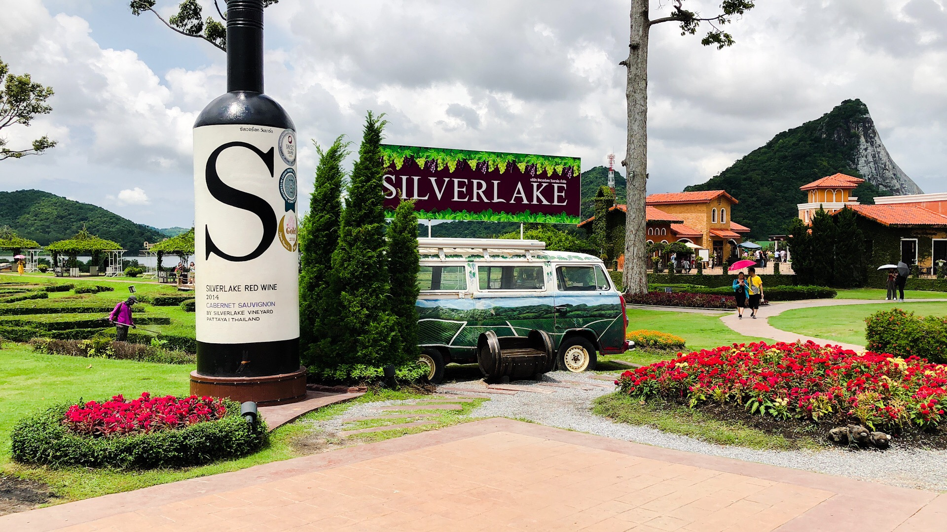 Silver lake vineyard