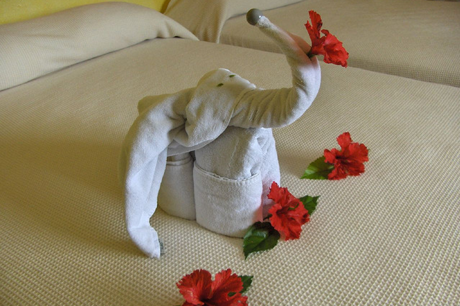 HOTEL TOWELS ART