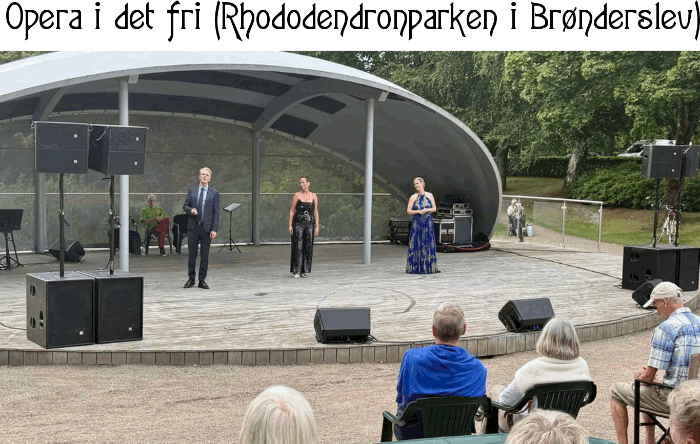 Forside til hjemmesise