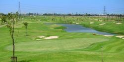 Riverdale Golf Club   green2