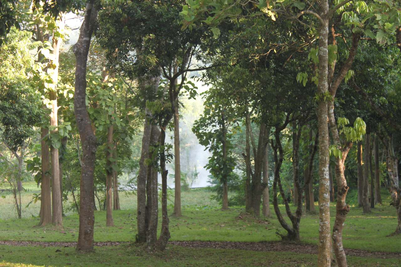 Nam Kok Nationalpark s