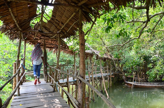 Tham Phi Hua To 1