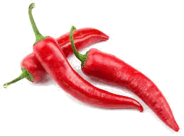 Chilli