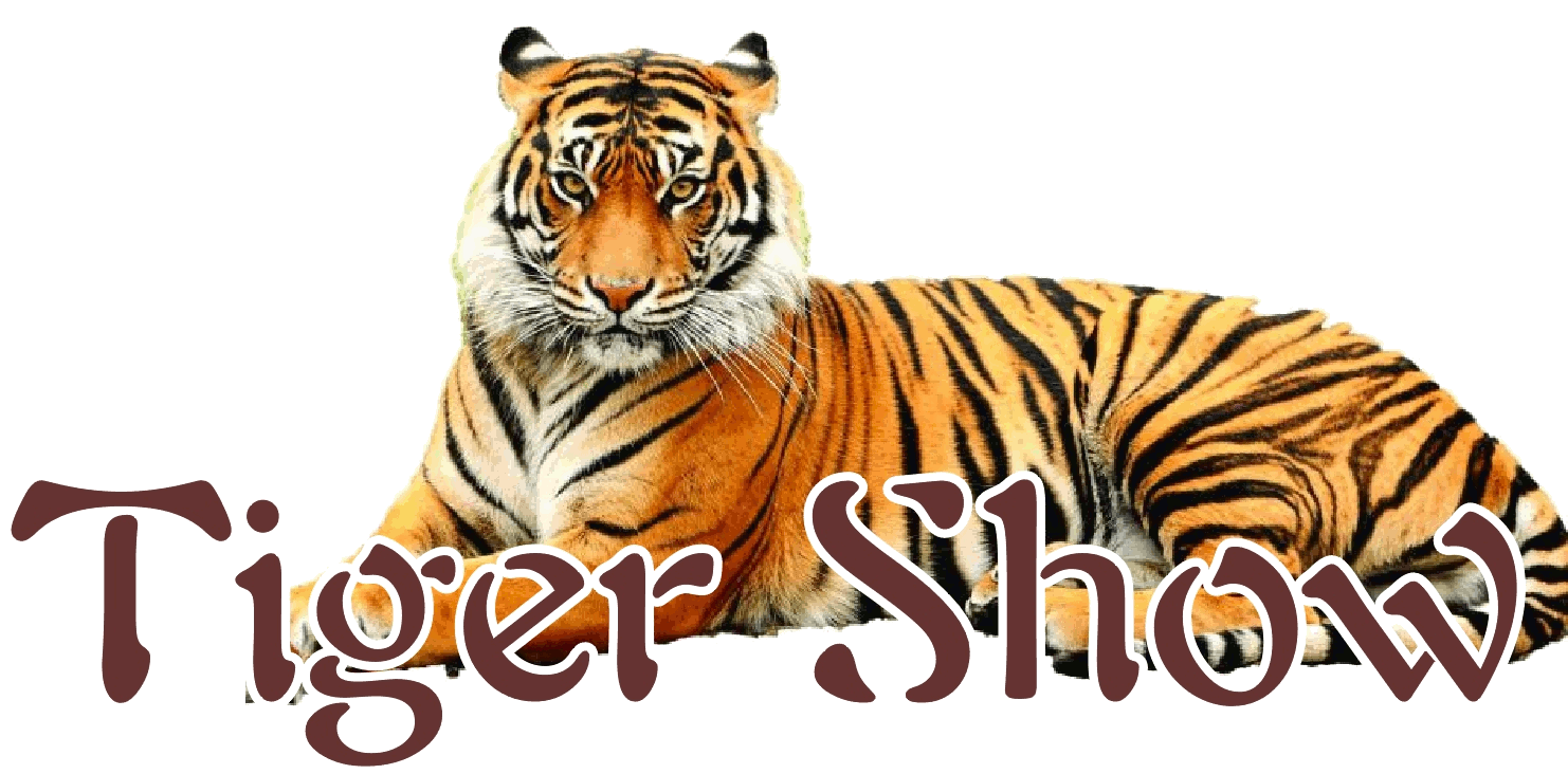 Tiger show