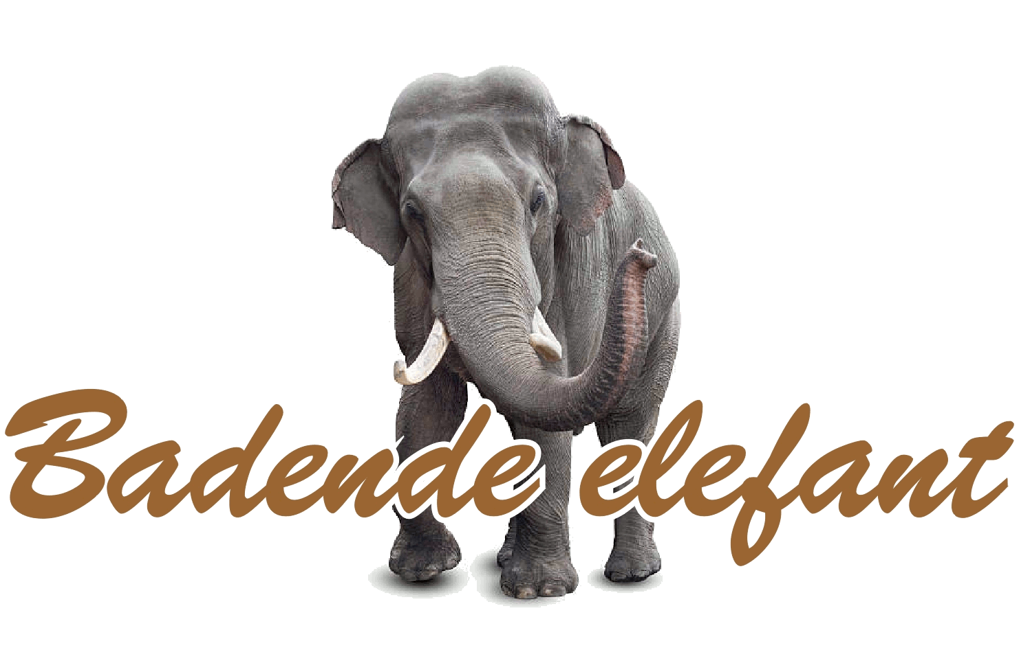 badende elefant