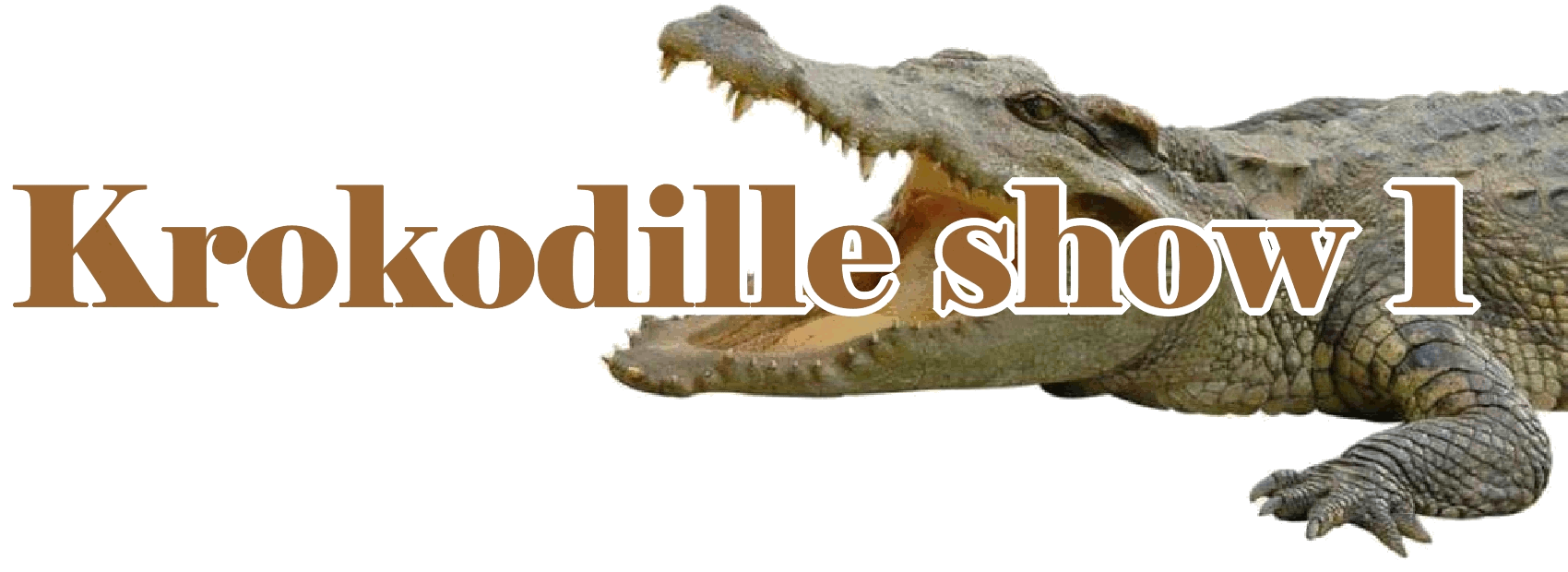 krokodilleshow 1