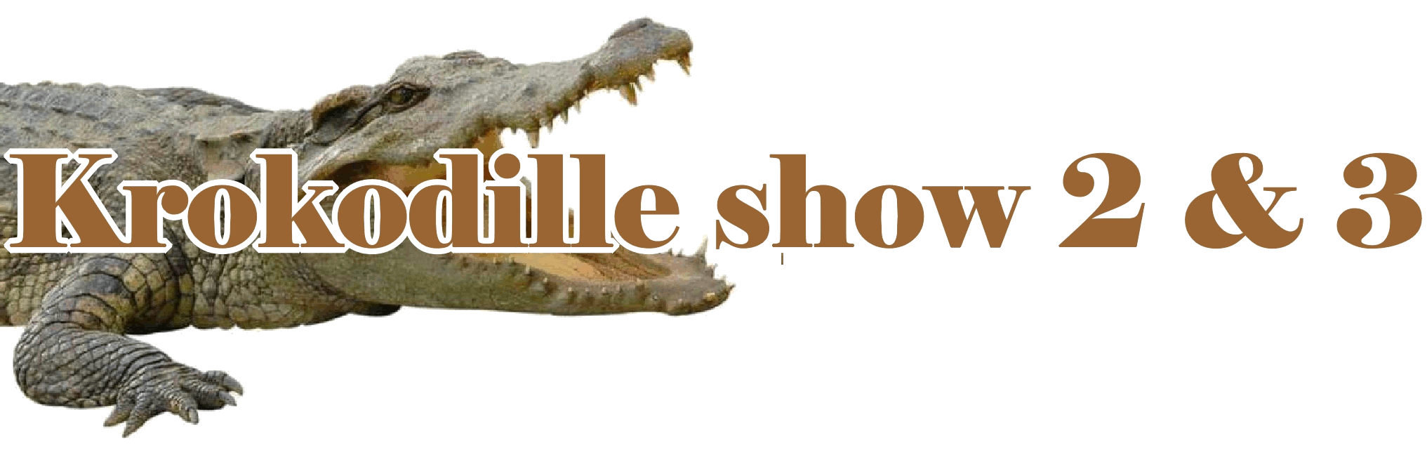 krokodilleshow to og tre