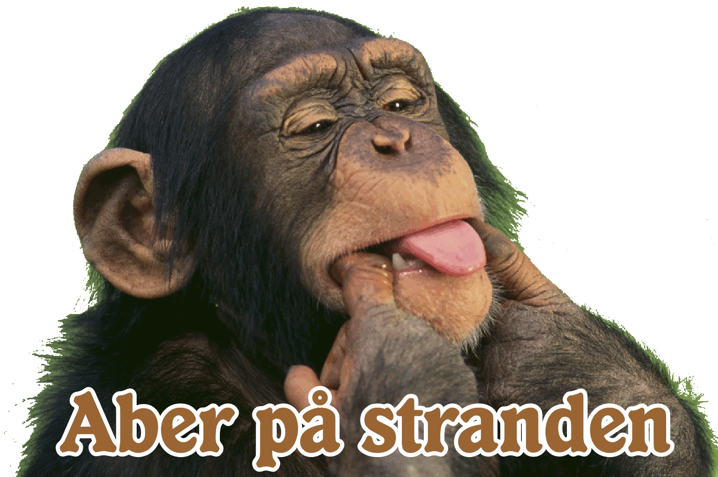 monkey3