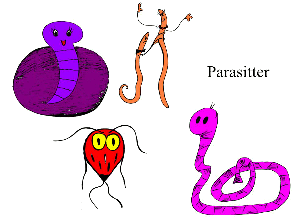 Parasitter2