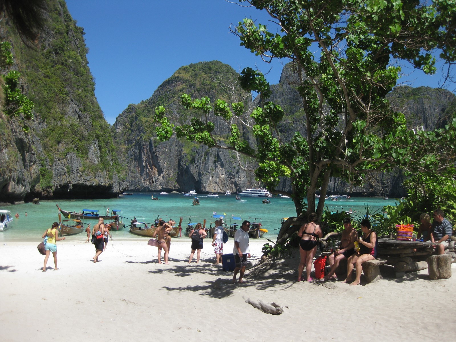 Thai 14 142