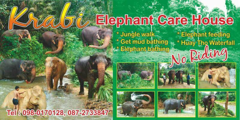 Elefant Care house Krabi