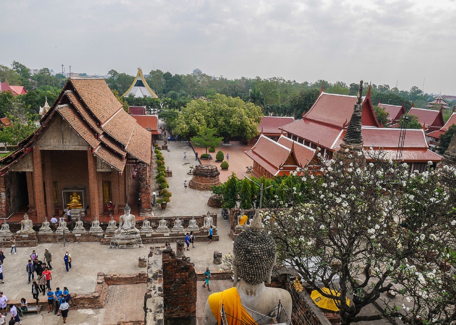 wat yai chai mongkon 7 1 