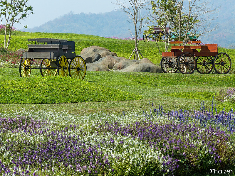 Singha Park Chiang Rai 10 L