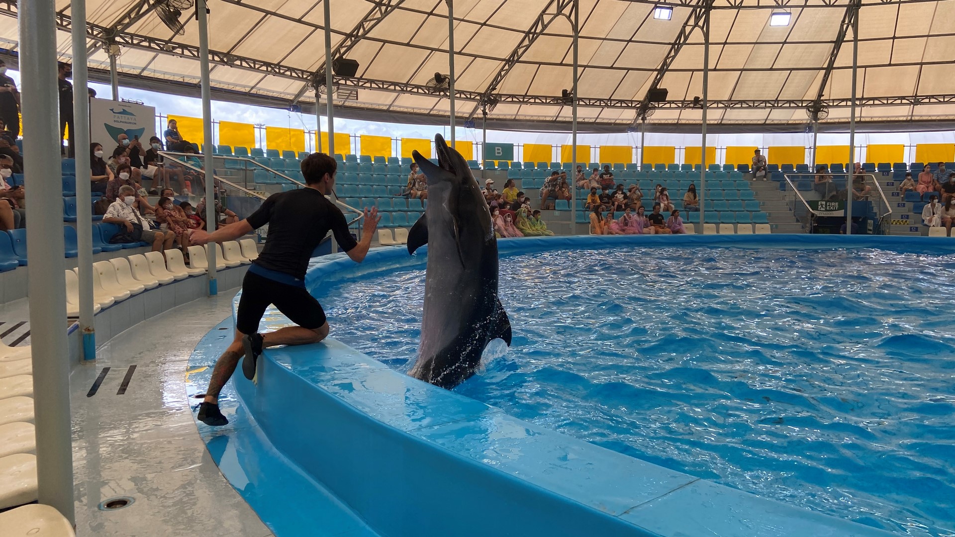 Pattaya Dolphin World