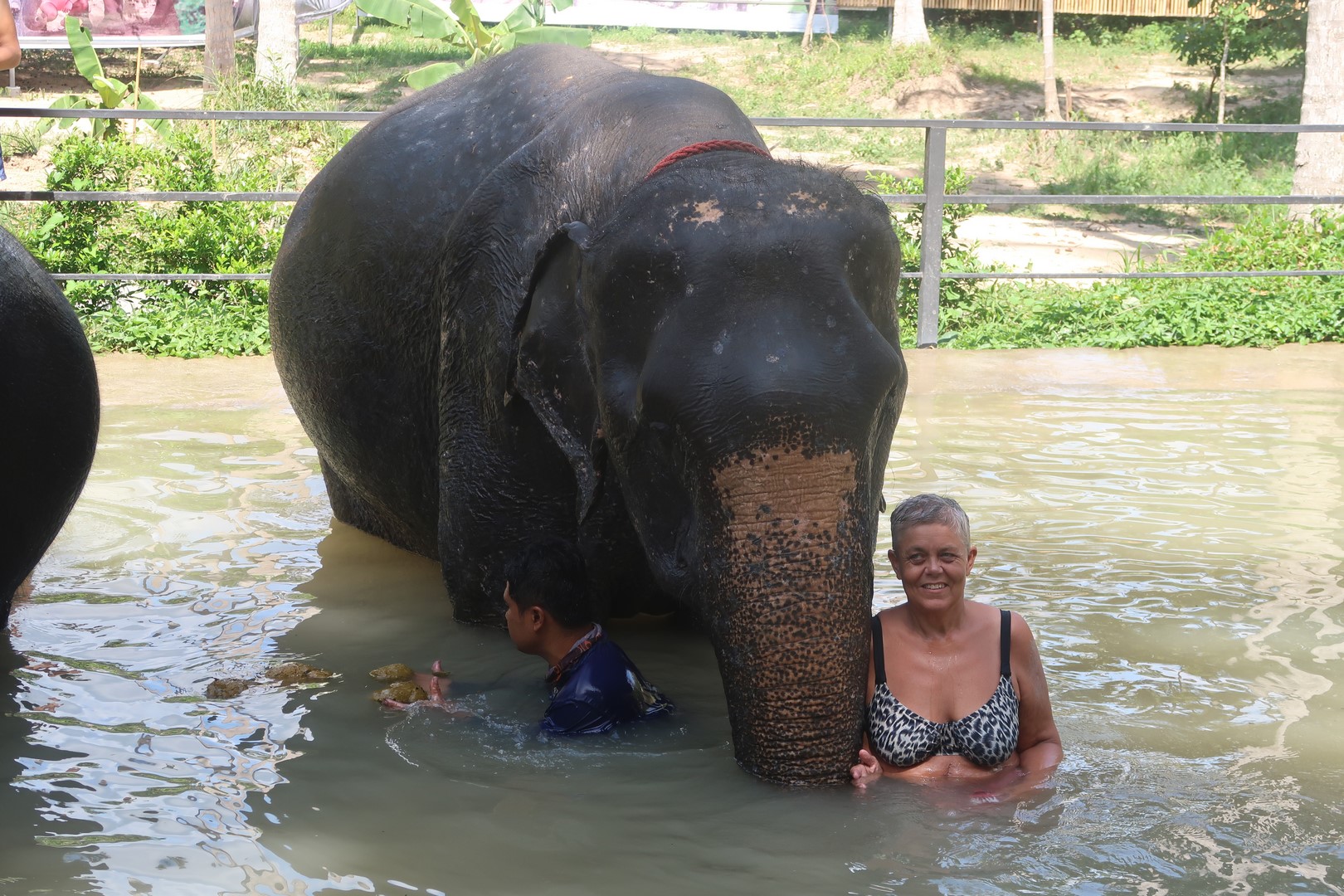 thai2019 01585