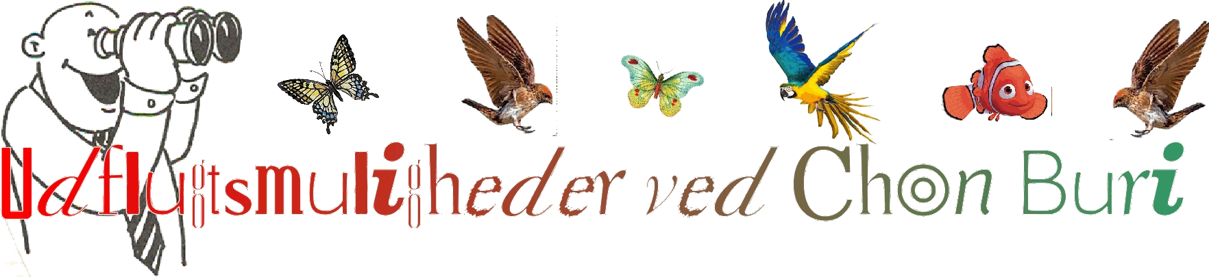 Oplevelser ved Mae Hong Son