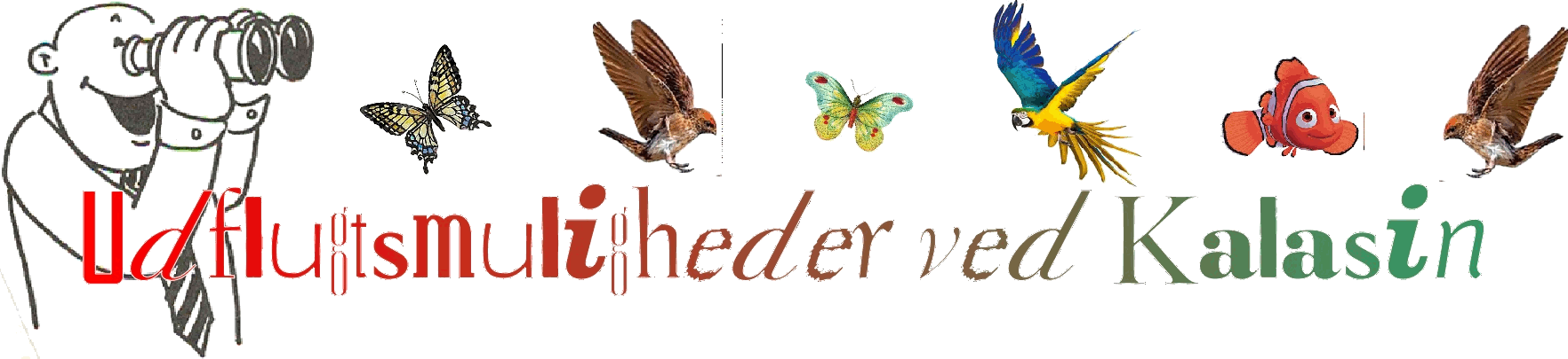Oplevelser ved Mae Hong Son
