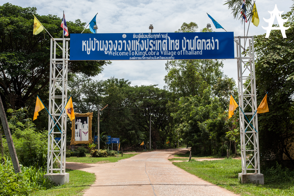 Khon Kaen and the King Cobra Village Welcome to King Cobra Village