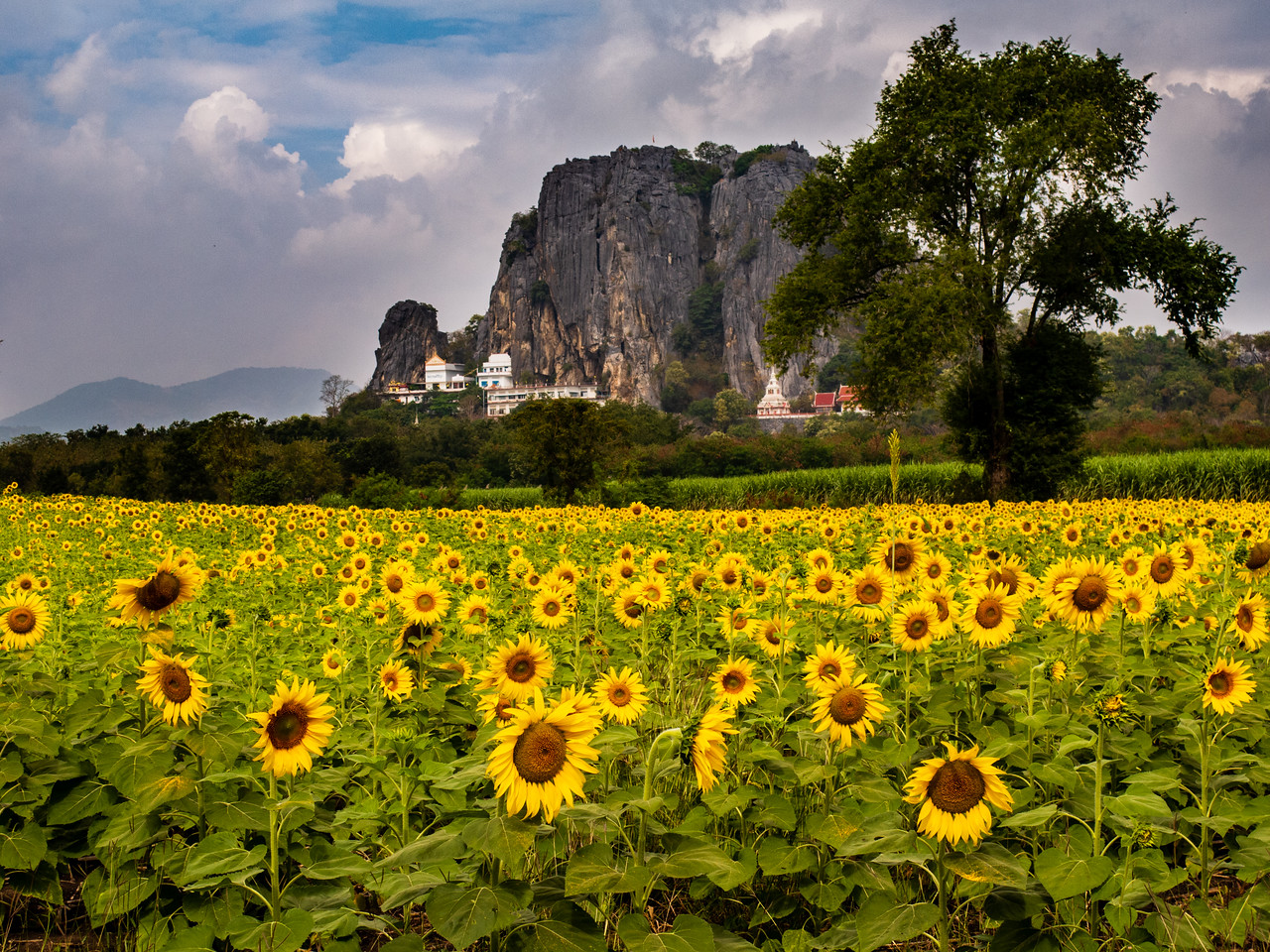 Oplevelser ved Mae Hong Son