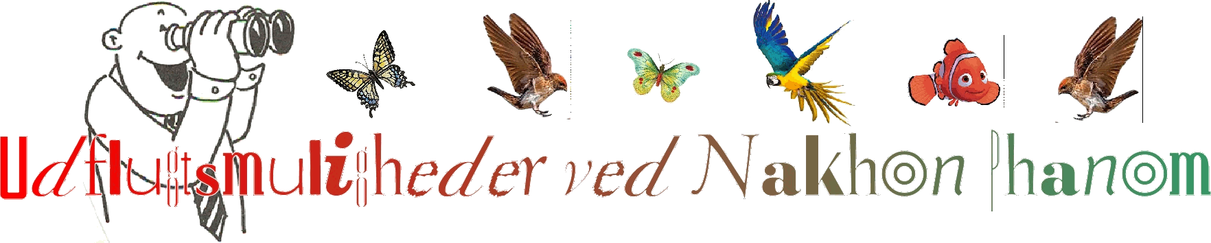 Oplevelser ved Mae Hong Son