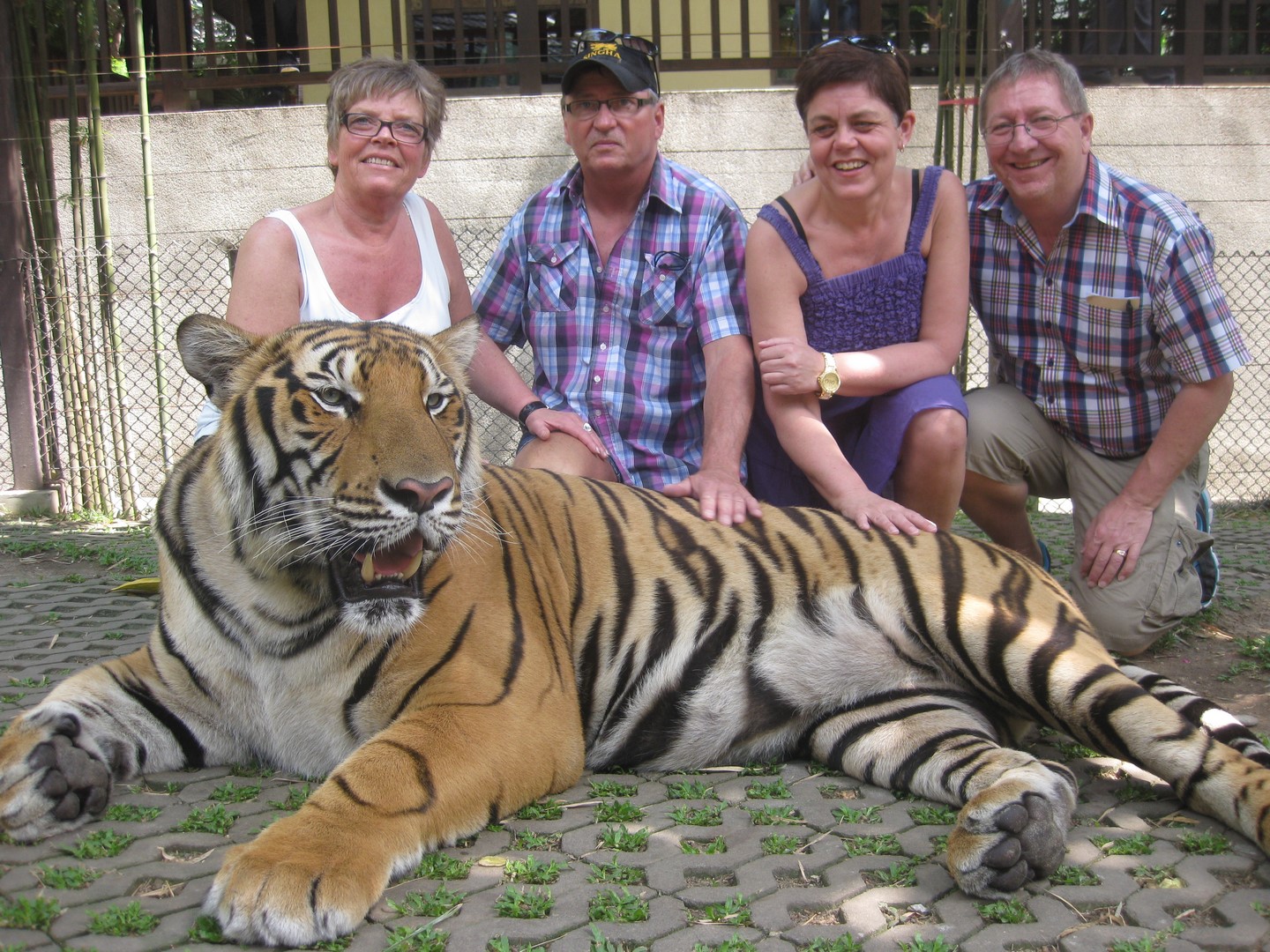 Tiger Nord Thailand