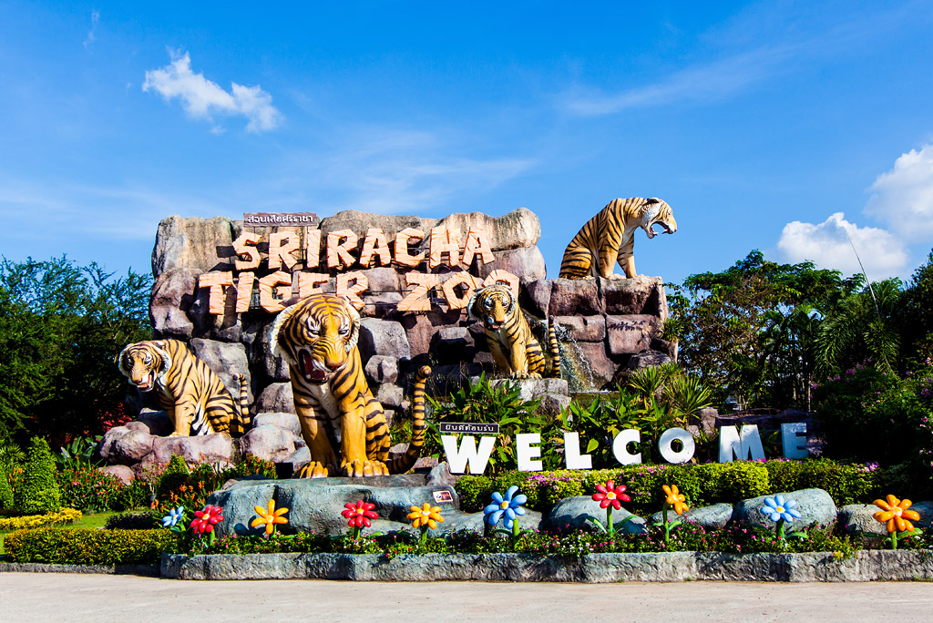 sriracha tiger zoo pattaya