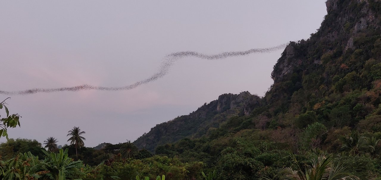 Oplevelser ved Mae Hong Son