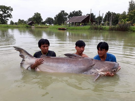 Oplevelser ved Mae Hong Son
