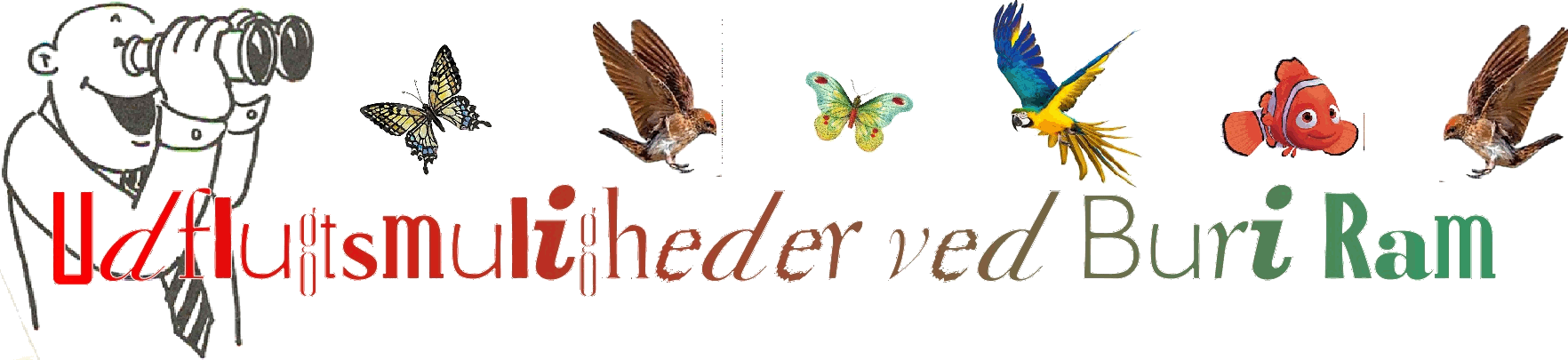 Oplevelser ved Mae Hong Son