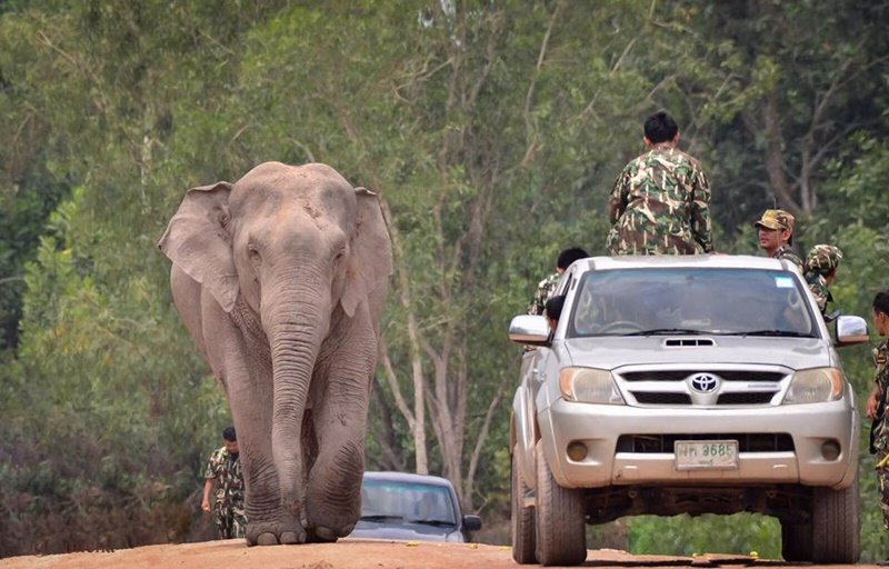 Oplevelser ved Mae Hong Son