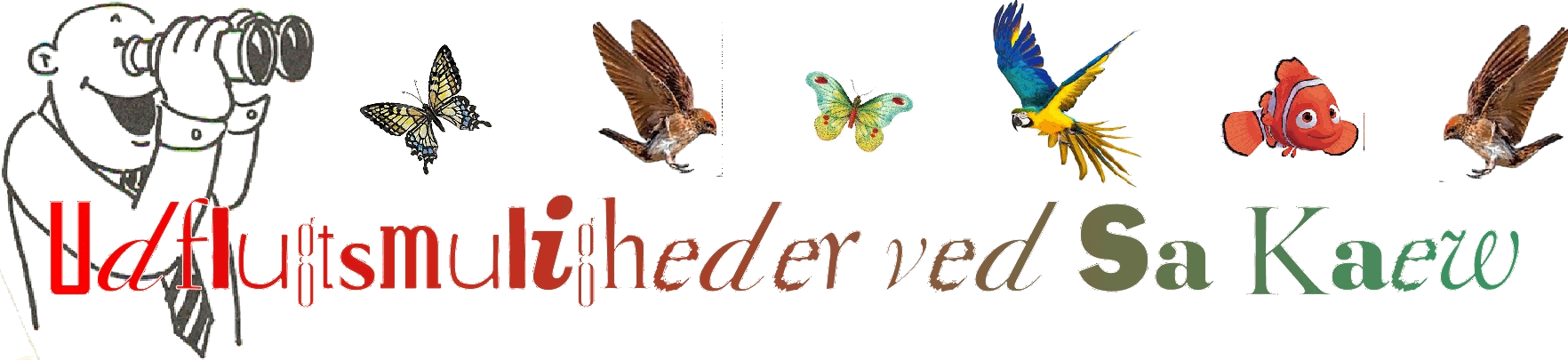 Oplevelser ved Mae Hong Son