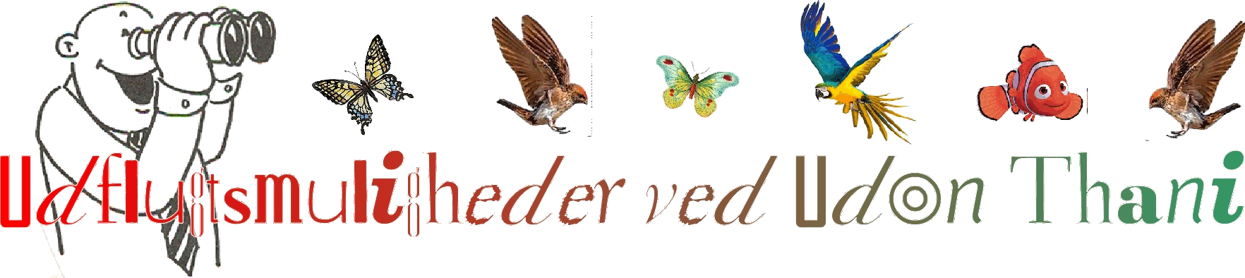 Oplevelser ved Mae Hong Son