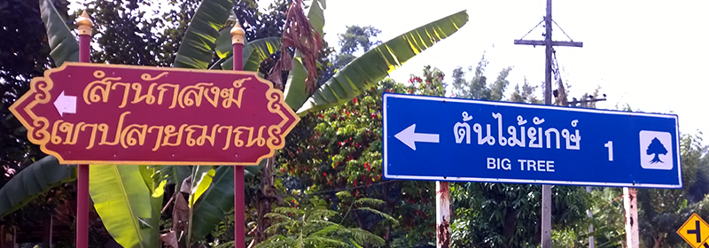Oplevelser ved Mae Hong Son