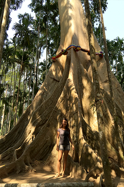 Oplevelser ved Mae Hong Son