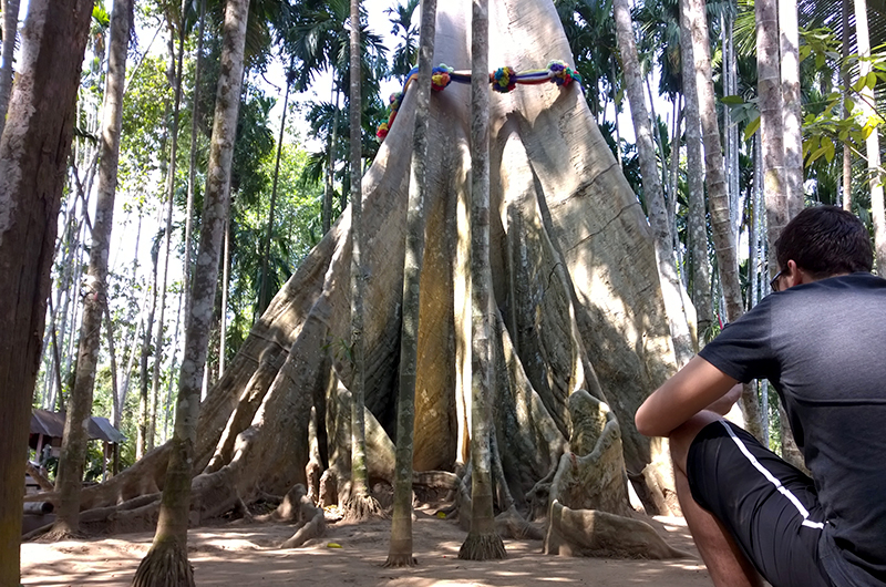 Oplevelser ved Mae Hong Son