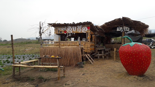 Oplevelser ved Mae Hong Son