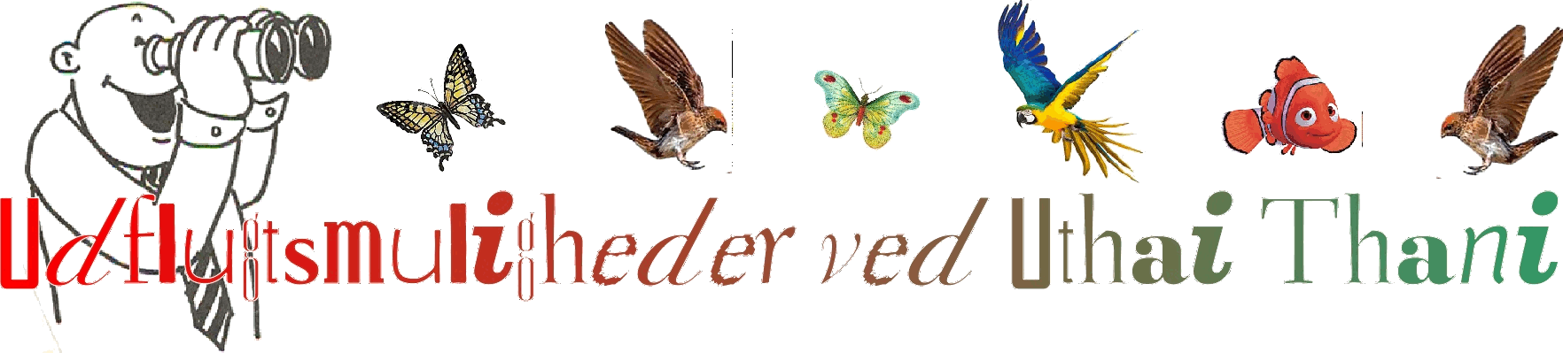 Oplevelser ved Mae Hong Son